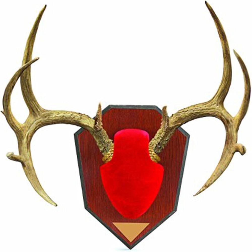 image:imageAllen Antler Mounting Kit with Skull Cover amp Engraveable PlaqueRed