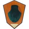 Allen Antler Mounting Kit with Skull Cover & Engraveable Plaque(Green)