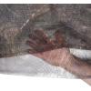 Allen Company Camo Netting for Hunting Ground Blinds – (12 feet x 56 inches)/ Realtree Edge and Mossy Oak Country(Mossy Oak Break-Up Country)