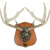 Allen Company Heirloom Antler Mounting Kit for Deer or Pronghorn