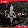 Allen Company Stryke Impact Fixed Blade Broadhead by Allen Company, 100-Grain, 3-Pack,Silver
