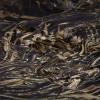 Allen Company Vanish 3D Leafy Omnitex, 12′ L x 56″ W, Realtree Max-5