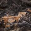 Allen Company Vanish 3D Leafy Omnitex, 12′ x 56″, Realtree Edge Camo