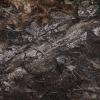 Allen Company Vanish 3D Leafy Omnitex, 12′ x 56″, Realtree Edge Camo