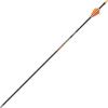 Allen Legacy Youth Arrows(26-inch)