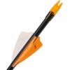 Allen Legacy Youth Arrows(26-inch)