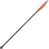 Allen Nexus Crossbow Bolt(One Size)