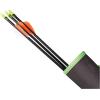 Allen Youth Fiberglass Arrows with Points Installed (Pack of 3)(26″)