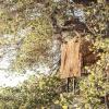 Vanish Quick Set Blind Rig by Allen, 50-Inches X 96-Inches, Mossy Oak Break-Up Country