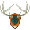 Allen Antler Mounting Kit with Skull Cover & Engraveable Plaque(Green)