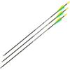 Allen Legacy Youth Arrows(28 Inch)
