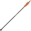 Allen Nexus Crossbow Bolt(One Size)