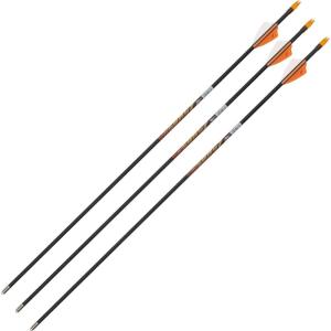 Allen Legacy Youth Arrows(26-inch)