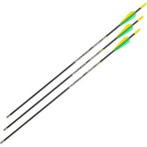 Allen Legacy Youth Arrows(28 Inch)