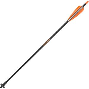 Allen Nexus Crossbow Bolt(One Size)