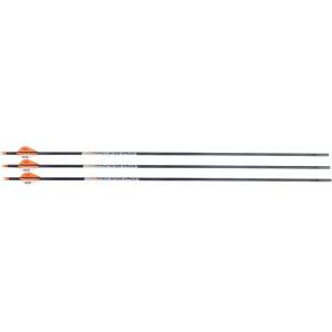 Allen Pro Series Carbon Arrow (Pack of 3)(31″)