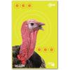 AC Allen EZ Aim Non-Adhesive Splash Shooting Targets(8 Pack (18 in x 12 in))