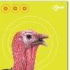 AC Allen EZ Aim Non-Adhesive Splash Shooting Targets(8 Pack (18 in x 12 in))