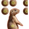 AC Allen EZ Aim™ Paper Shooting Target(One Size)