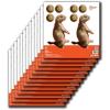 AC Allen EZ Aim™ Paper Shooting Target(One Size)