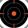 Allen Company EZ Aim Paper 8-inch Bullseye Target, 26-Pack, Black/Orange/White