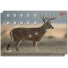 Allen Company EZ Aim Paper Shooting Targets, 4-Color 23″ x 35″ Whitetail Targets, 2-Pack
