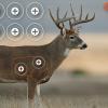 Allen Company EZ Aim Paper Shooting Targets, 4-Color 23″ x 35″ Whitetail Targets, 2-Pack