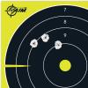 Allen Company EZ-Aim 8 x 8 inch Non-Adhesive Splash Shooting Targets by Allen Company, Targets, Gun – Rifle – Pistol – Airsoft – BB Gun – Air Rifle, Green, 25 Per Pack (15213)