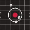 Allen Company Ruger® 10/22® Paper Shooting Target – Splash Splatter Reactive Adhesive Target Kit – Sight-in Square Target – 5 Targets Per Pack(5 Targets)