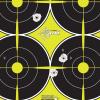 Allen Non-Adhesive Paper Splash Shooting Targets(8-Pack)