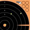 EZ-Aim Adhesive Splash Technology Shooting Targets, Bullseye/Handgun Trainer/Sight-in-Grid/Gun – Rifle – Pistol – Airsoft – BB Gun – Air Rifle(Bullseye Target – 17.5 inch – 5 Pack)