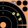 EZ-Aim Adhesive Splash Technology Shooting Targets, Bullseye/Handgun Trainer/Sight-in-Grid/Gun – Rifle – Pistol – Airsoft – BB Gun – Air Rifle(Bullseye Target – 8 inch – 30 Pack)