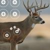 EZ-Aim Non-Adhesive Splash Range Shooting Targets Animal Dear Whitetail Coyote by Allen, Paper Target, 13 x 24 inches – 3 Pack/for Gun – Rifle – Pistol – Airsoft – BB Gun – Air Rifle(Whitetail Target  3 Pack)