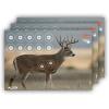EZ-Aim Non-Adhesive Splash Range Shooting Targets Animal Dear Whitetail Coyote by Allen, Paper Target, 13 x 24 inches – 3 Pack/for Gun – Rifle – Pistol – Airsoft – BB Gun – Air Rifle(Whitetail Target  3 Pack)