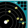 Girls With Guns Adhesive Splash Splatterburst Shooting Targets By Allen (Bullseye / Handgun Trainer / Sight-In Grid) – 5 Pack -Gun – Rifle – Pistol – Airsoft – BB Gun – Air Rifle(GWG Bullseye Target  12 inch  5 Pack)