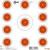 AC Allen EZ Aim™ Paper Shooting Target(1 Count (Pack of 1))