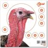 Allen Company EZ Aim Paper Shooting Target Turkey Target by Allen, 12 inch x 12 inch, 6 Pack, Multicolor, One Size (15322)
