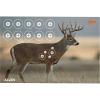 Allen Company EZ Aim Paper Shooting Targets, 4-Color 23″ x 35″ Whitetail Targets, 2-Pack