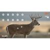 EZ-Aim Non-Adhesive Splash Range Shooting Targets Animal Dear Whitetail Coyote by Allen, Paper Target, 13 x 24 inches – 3 Pack/for Gun – Rifle – Pistol – Airsoft – BB Gun – Air Rifle(Whitetail Target  3 Pack)