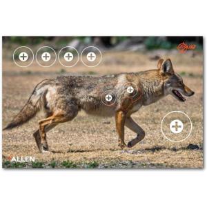 Allen Company EZ Aim Paper Four Color 25 inch x 35 inch Coyote Target by Allen, 2 Pack, Multicolor