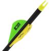 AC ALLENRZ350 Archery Carbon Arrows(Black)