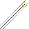 AC ALLENRZ350 Archery Carbon Arrows(Black)