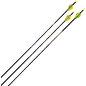 AC ALLENRZ350 Archery Carbon Arrows(Black)